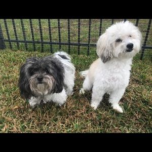 Meet your Posher, Kylee